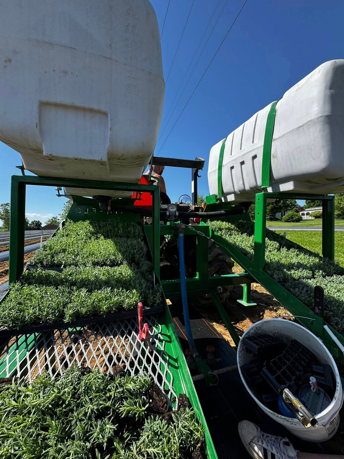 🌿 Prepping for 2,000 Lavender Plants: The Field Takes Shape