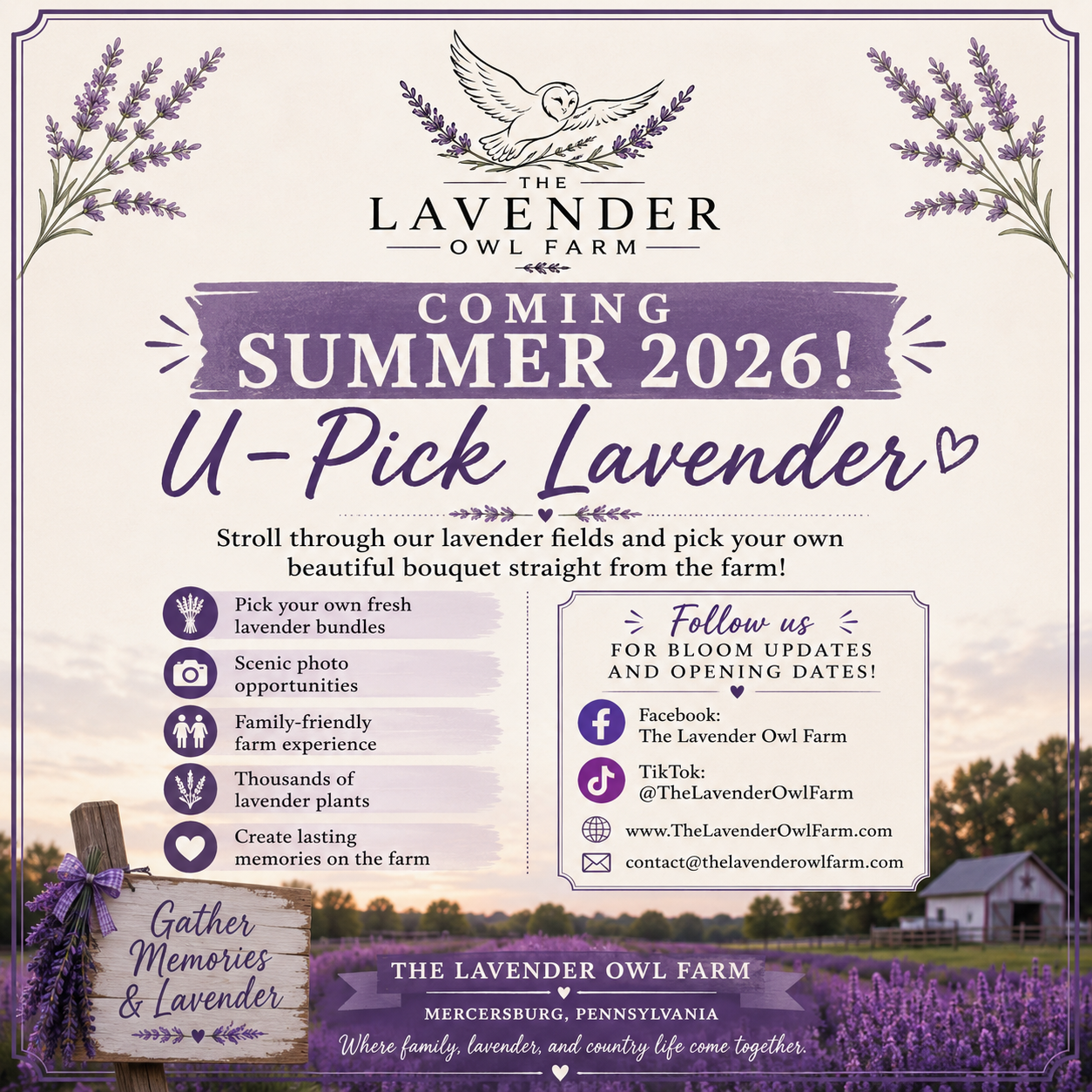 U-PICK LAVENDER EVENT