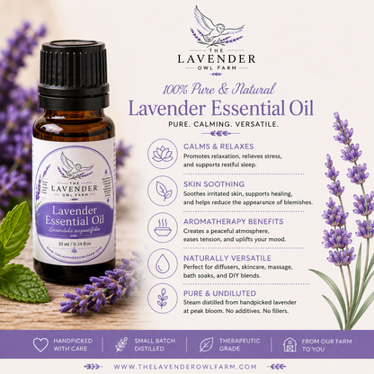Lavender Essential Oil 10ml | Pure Lavender Oil for Aromatherapy, Diffusers & DIY