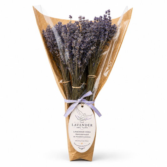 Dried Lavender Vera Bundle | Hand Harvested at The Lavender Owl Farm