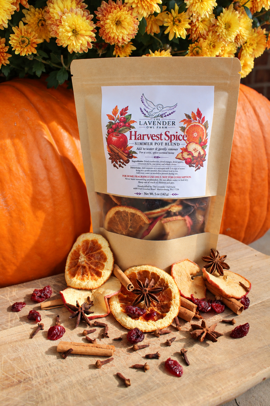 Harvest Spice Simmer Pot Blend – Natural Fall Home Fragrance | 5 oz