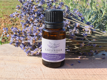 Lavender Essential Oil 10ml | Pure Lavender Oil for Aromatherapy, Diffusers & DIY