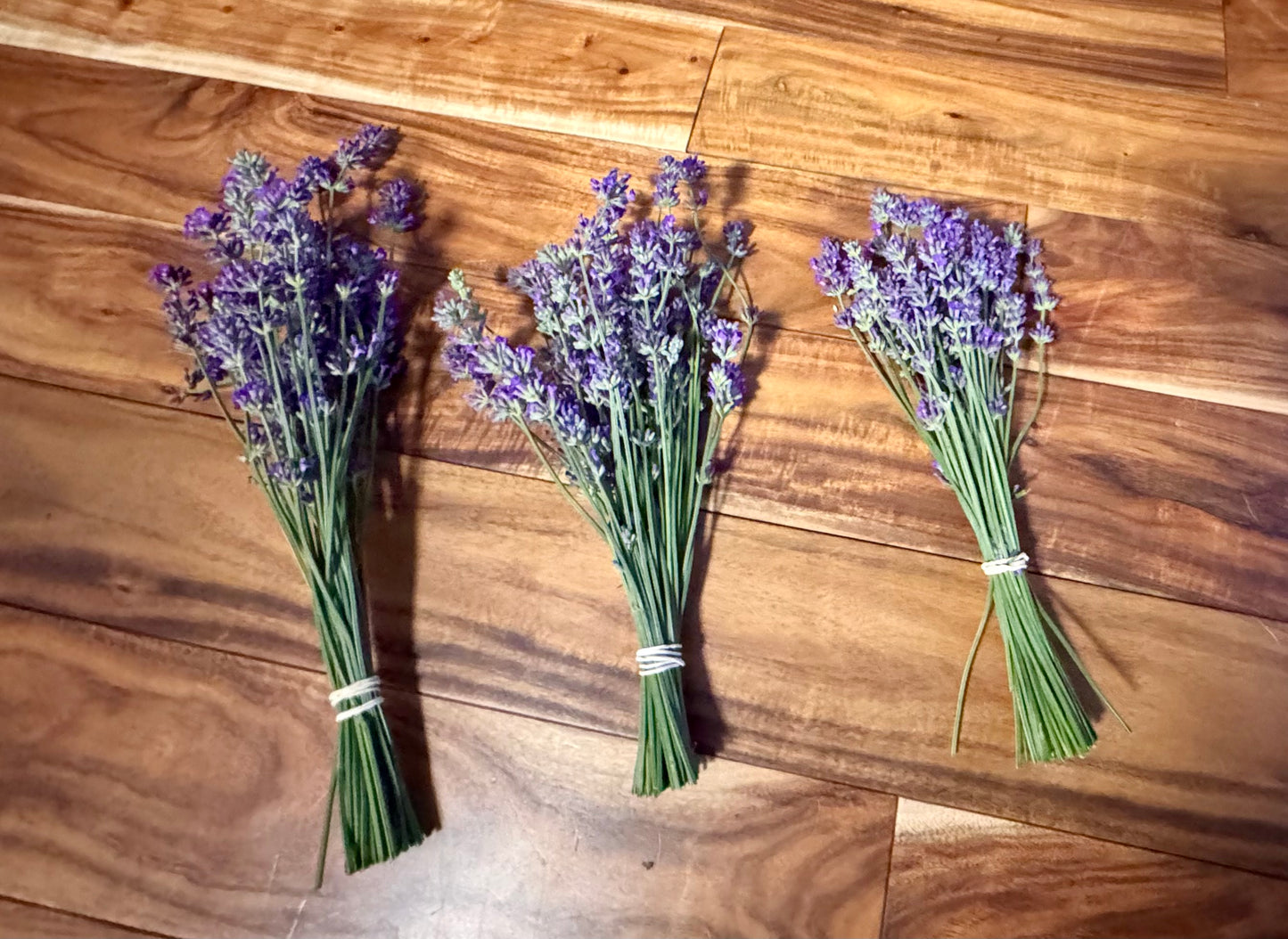 Dried Lavender Vera Bundle | Hand Harvested at The Lavender Owl Farm