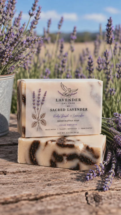 Sacred Lavender Soap |  Holy Basil + Lavender Tallow Cold Process Soap